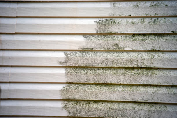 Affordable Siding Repair and Maintenance Services in Deer Lodge, MT